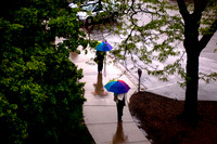 20100513.DLT_5955