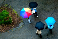 20100513.DLT_5957