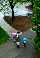 20100513.DLT_5961