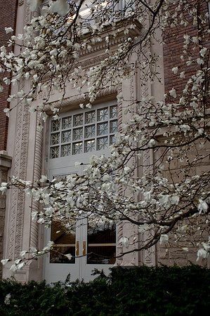 20100409.DLT_0101
