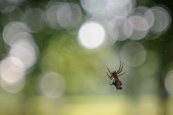 20140804.GK.34500