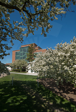 20100428.DLT_3782