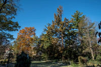 Beal Garden