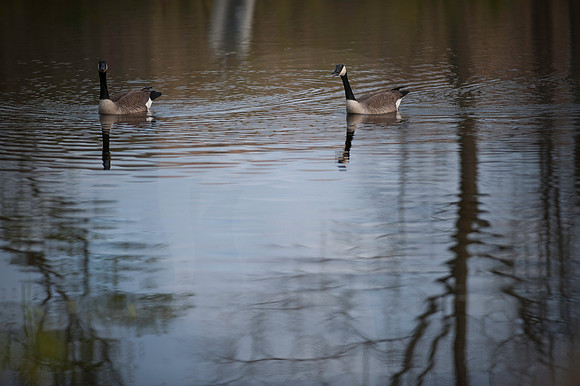 20120411.KAS.27144