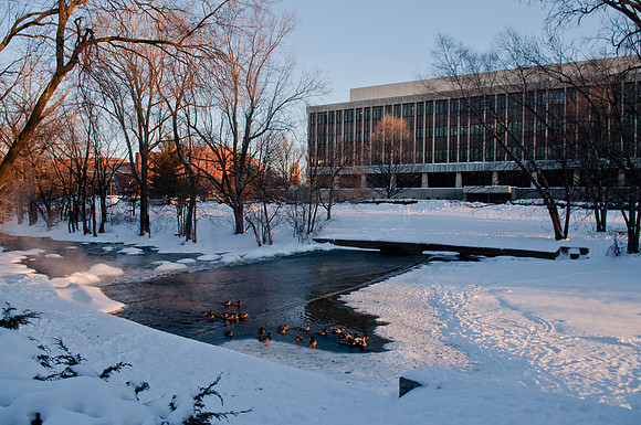 20110203_DLT8989