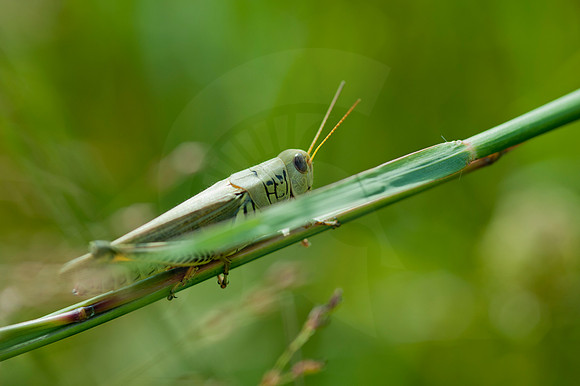 20110823.KAS.15727