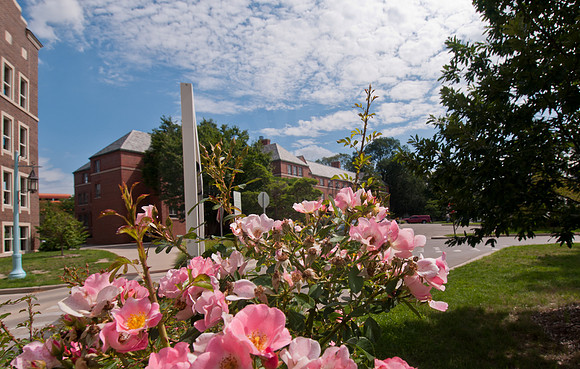 20110817_DLT7568