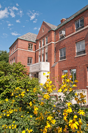 20110817_DLT7252