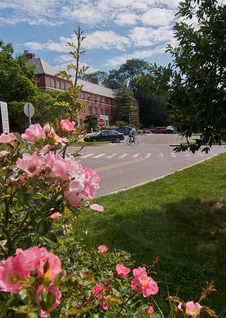 20110817_DLT7564