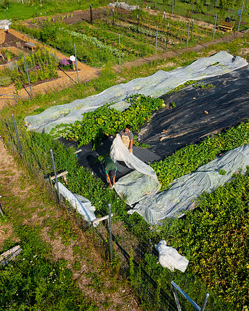 DPFLI_Aerial-8