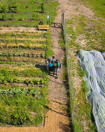 DPFLI_Aerial-19
