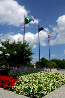 20071009_Flags_Flowers_dt