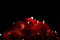20071108_Painting_5745_gl
