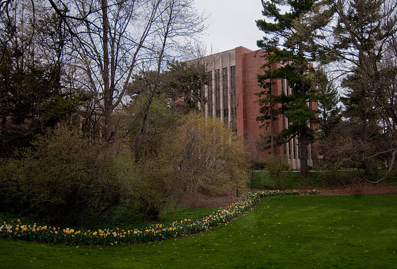 20100409.DLT_0043
