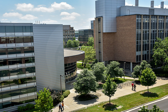 MSU Campus