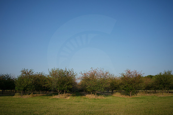 20150707.GK.1894