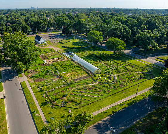 DPFLI_Aerial-5