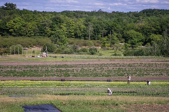 20150708.GK.2248