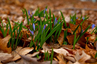 20100325.DLT.9220