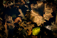 20131120.GK.8697