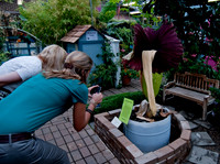 20100615._DLT2430