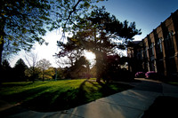 20100423.DLT_3113