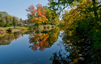 20111005_DLT2013
