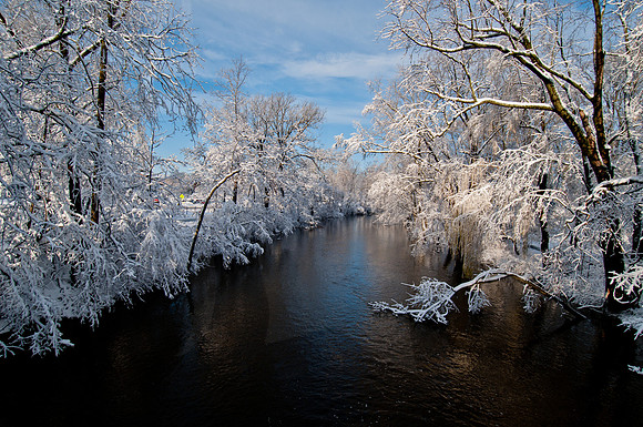 20111130_DLT0723-2