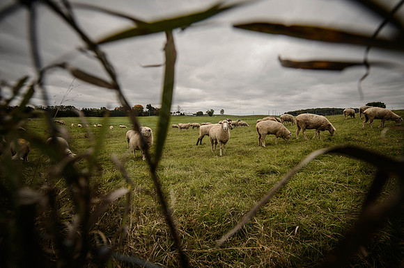 20140930.GK.4435