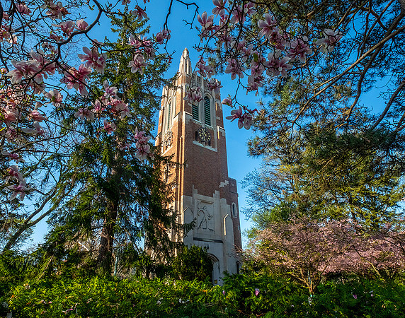 Beaumont Tower Spring.11x14