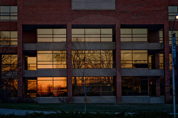 20100317.DLT_8796