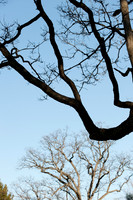 20100323.KAS.8176