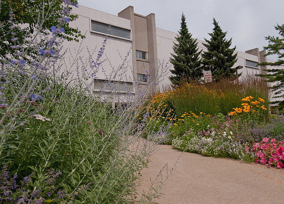 20110707_DLT9732