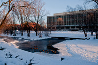 20110203_DLT8989