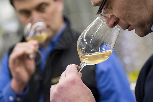 aroma-of-wine