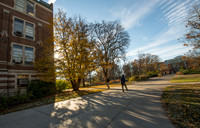 20131113.DLT.7134