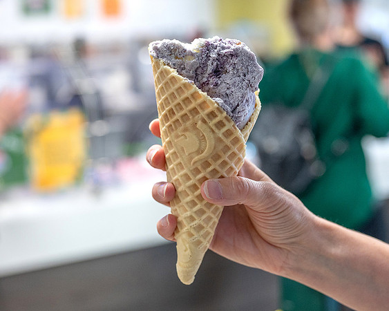 MSU Dairy Blueberry Pie