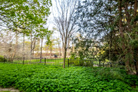 Trees Gallery