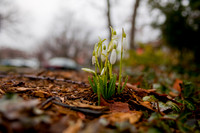 20100325.DLT.9124