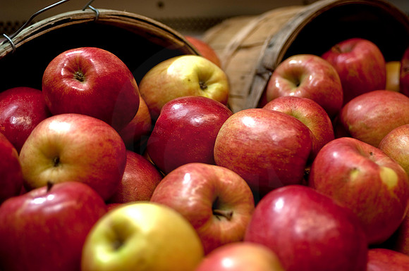 Michigan Apples