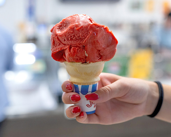 MSU Dairy Raspberry Sorbet