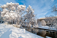 20111130_DLT0727-2