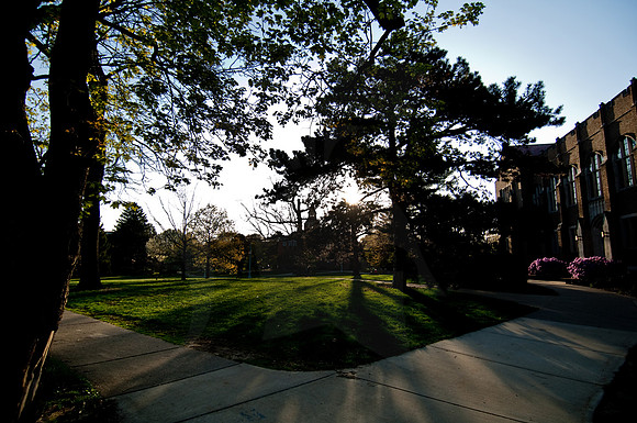 20100423.DLT_3108