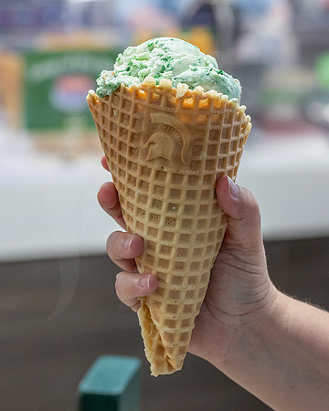 MSU Dairy Spartan Swirl.v