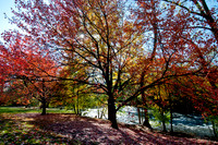 20111102_DLT0515
