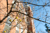 20100323.KAS.8142