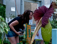 20100615.DLT.2496