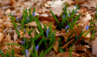 20100325.DLT.9202
