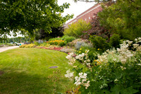 20110707_DLT9830